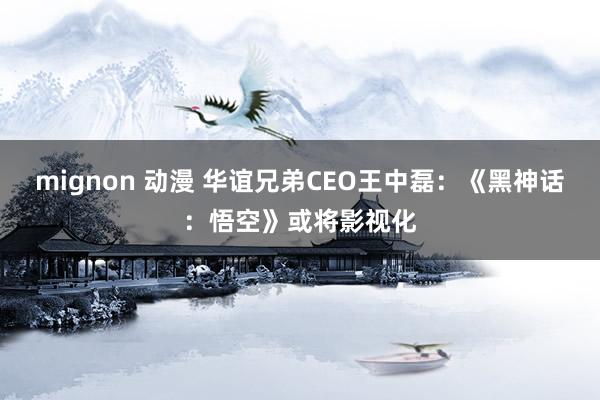 mignon 动漫 华谊兄弟CEO王中磊:《黑神话:悟空》或将影视化