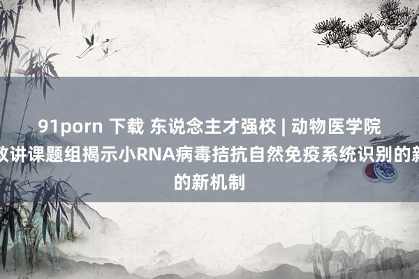 91porn 下载 东说念主才强校 | 动物医学院李鑫教讲课题组揭示小RNA病毒拮抗自然免疫系统识别的新机制