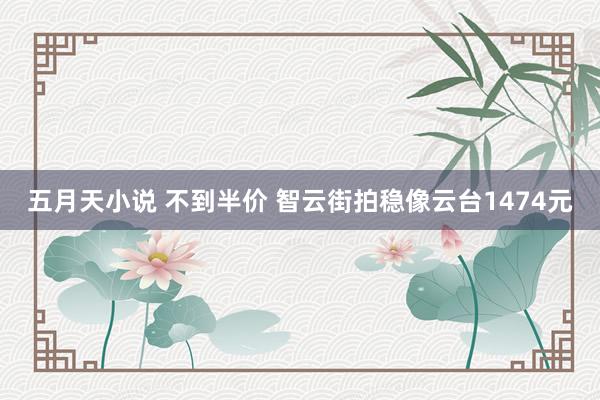 五月天小说 不到半价 智云街拍稳像云台1474元