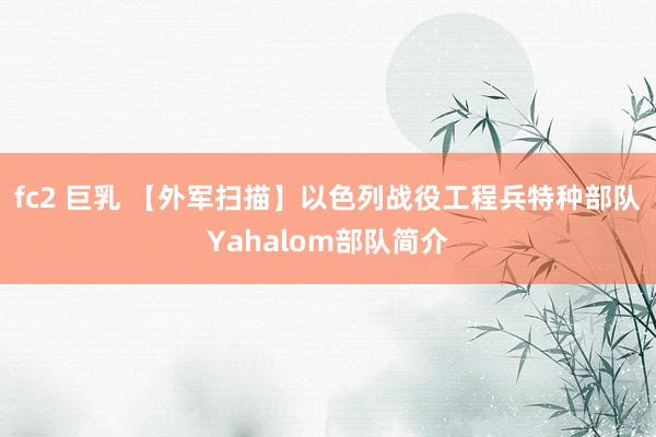 fc2 巨乳 【外军扫描】以色列战役工程兵特种部队Yahalom部队简介