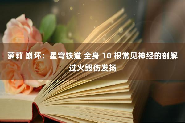 萝莉 崩坏：星穹铁道 全身 10 根常见神经的剖解过火毁伤发扬