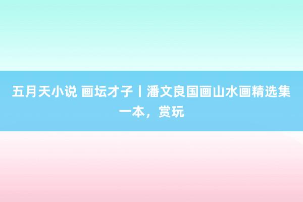 五月天小说 画坛才子丨潘文良国画山水画精选集一本，赏玩