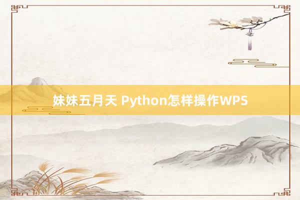 妹妹五月天 Python怎样操作WPS