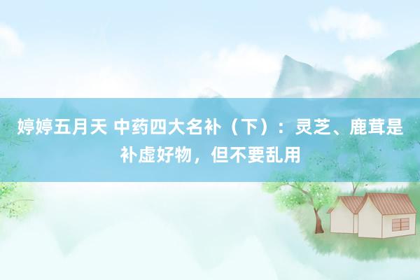 婷婷五月天 中药四大名补（下）：灵芝、鹿茸是补虚好物，但不要乱用