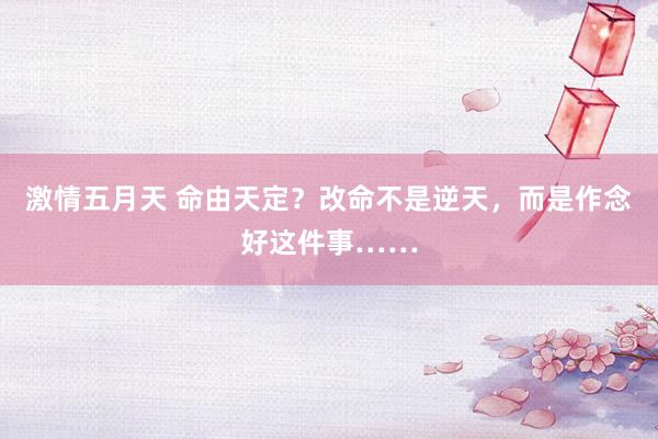 激情五月天 命由天定？改命不是逆天，而是作念好这件事……